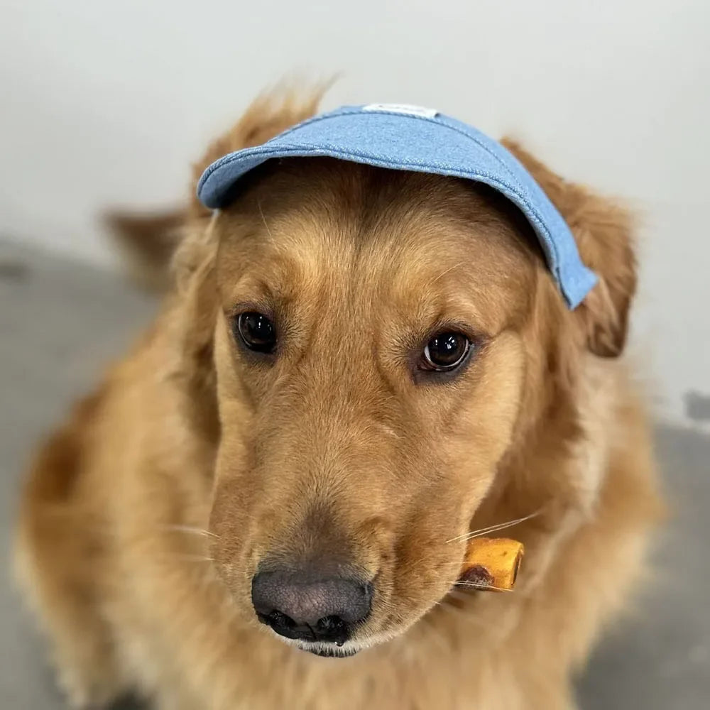 Casquette chien RAMEN™ | chapeau solaire