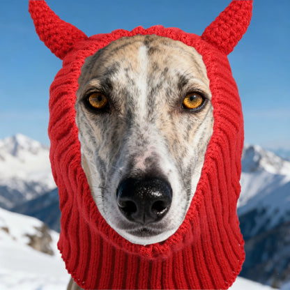 Cache oreilles pour Chien | ROBEIRO™