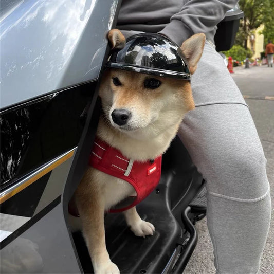 Casque de protection chien RAMEN™
