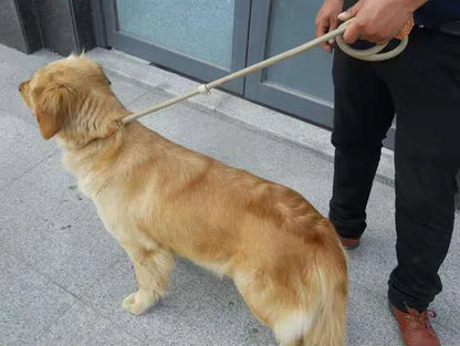 Laisse chien ROSSI™ | corde coulissante tressée