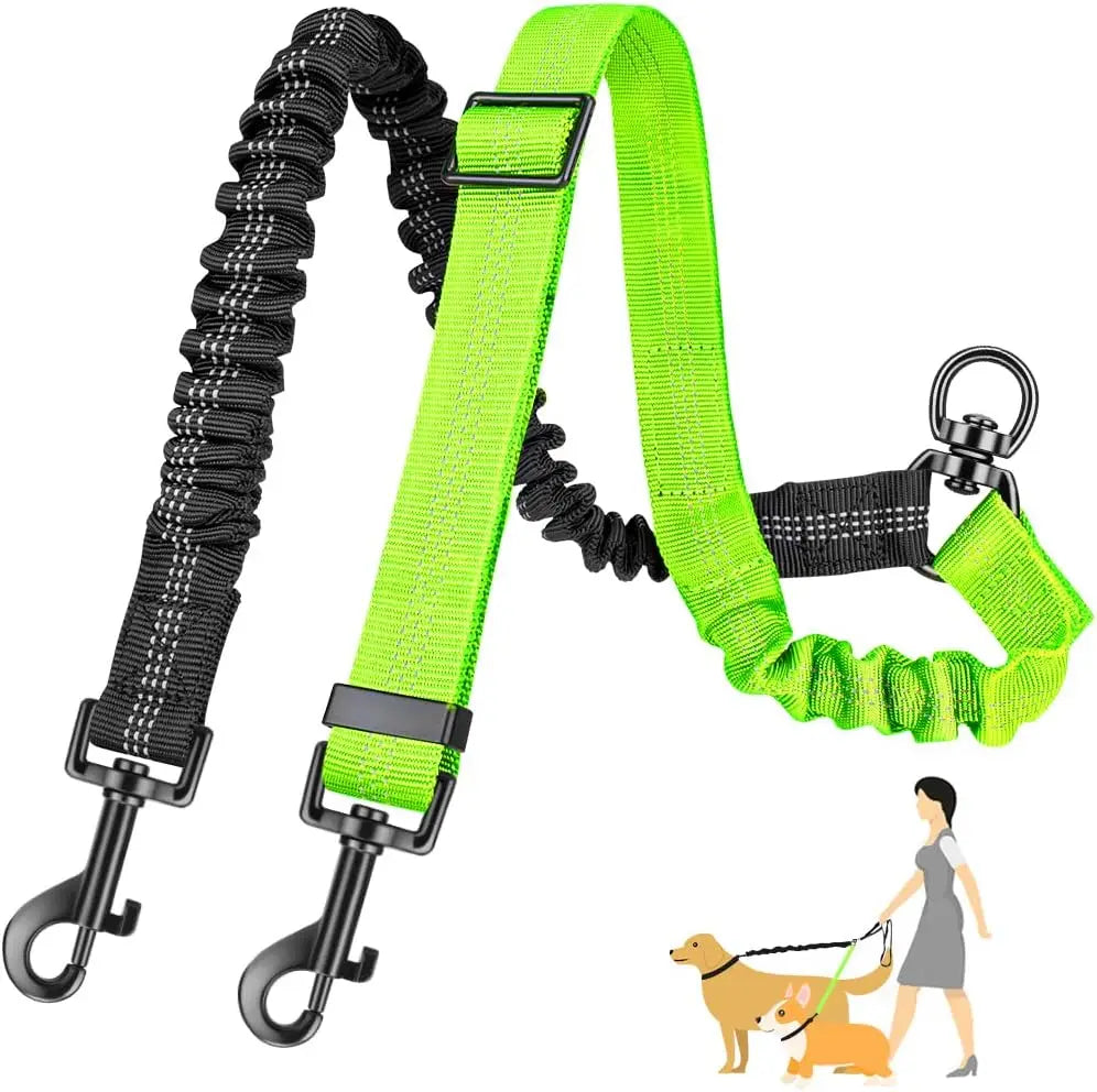 Laisse double pour chien GINJO™ | réglable bungee