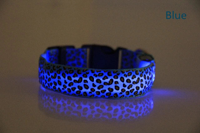 Collier lumineux pour chien TEDDY™