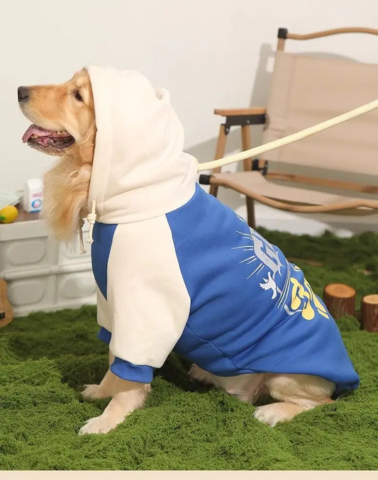 Sweat à capuche pour chien GURELI™ | chandail hoodie