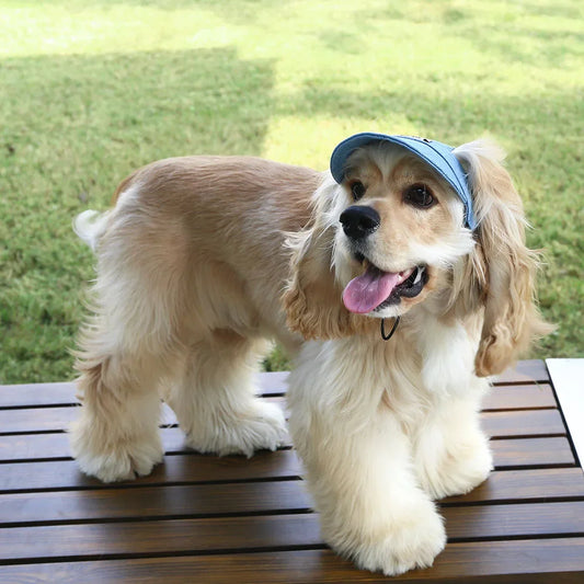Casquette chien RAMEN™ | chapeau solaire
