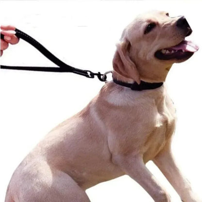 Laisse courte pour chien ONEM™ | nylon