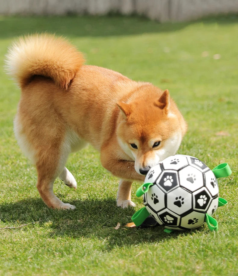 Jouet pour chien MORTY™ | ballon football interactif