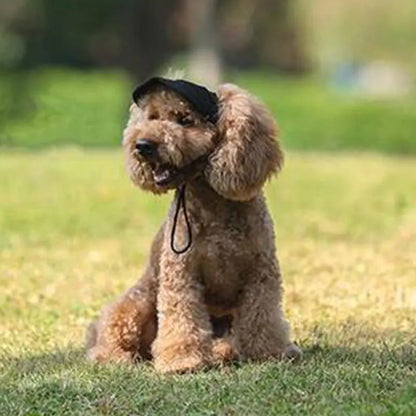 Casquette pour chien KELSON™ | casquette pour maître