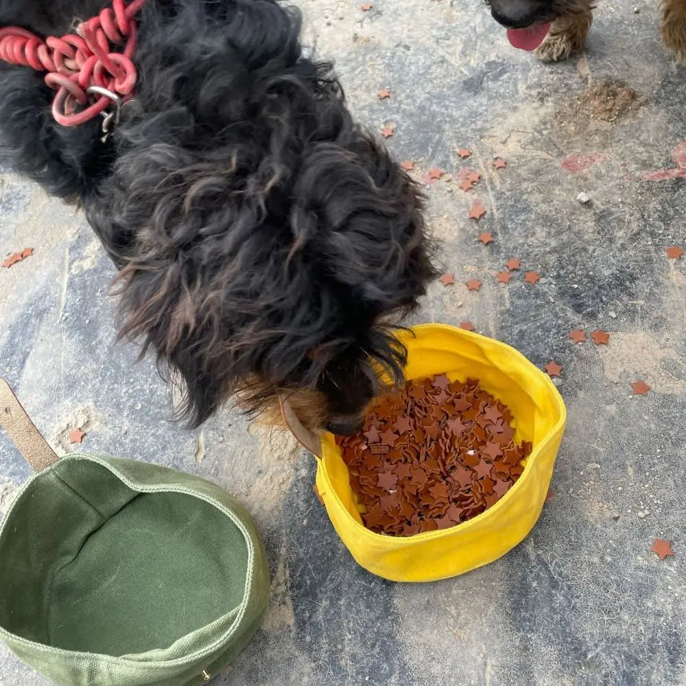 Gamelle chien CANVASBOWL™
