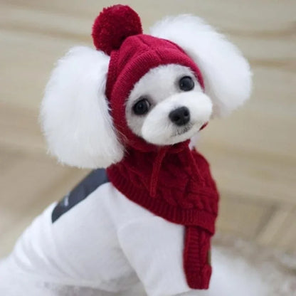 Bonnet pour chien TEDDY  | chapeau chien