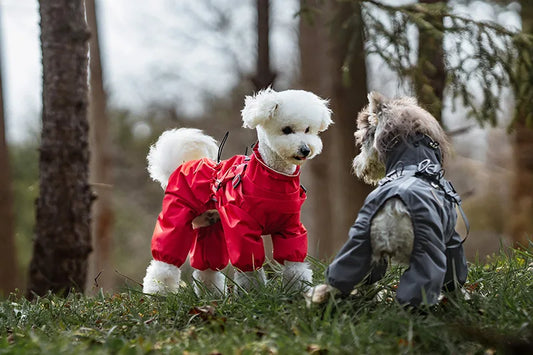 Imperméable pour chien HALUK™ | manteau de pluie avec harnais