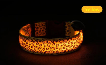 Collier lumineux pour chien TEDDY™