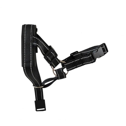 Collier dressage chien SERGAR™ | licou