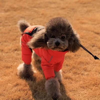 Manteau hiver pour chien CONEIJO™ | doudoune