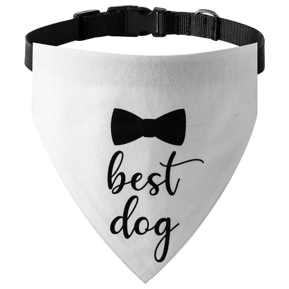 Bandana pour chien  LATELLA™ | foulard coton réglable