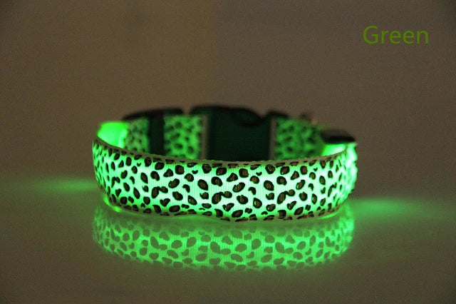 Collier lumineux pour chien TEDDY™