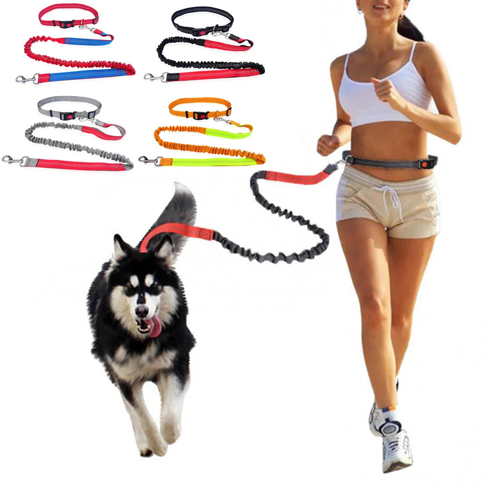Laisse pour chien DUUOMM™ | mains libres