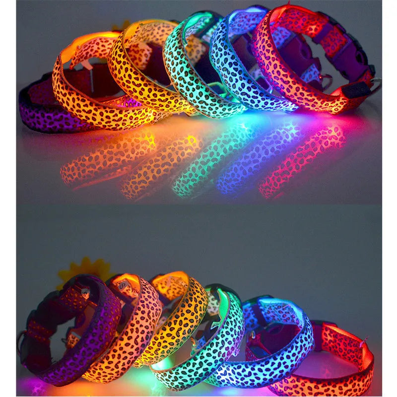 Collier lumineux pour chien TEDDY™