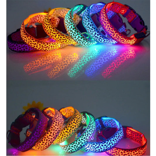 Collier lumineux pour chien TEDDY™
