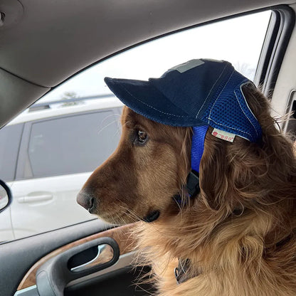 Casquette pour chien GINJO™ | chapeau solaire