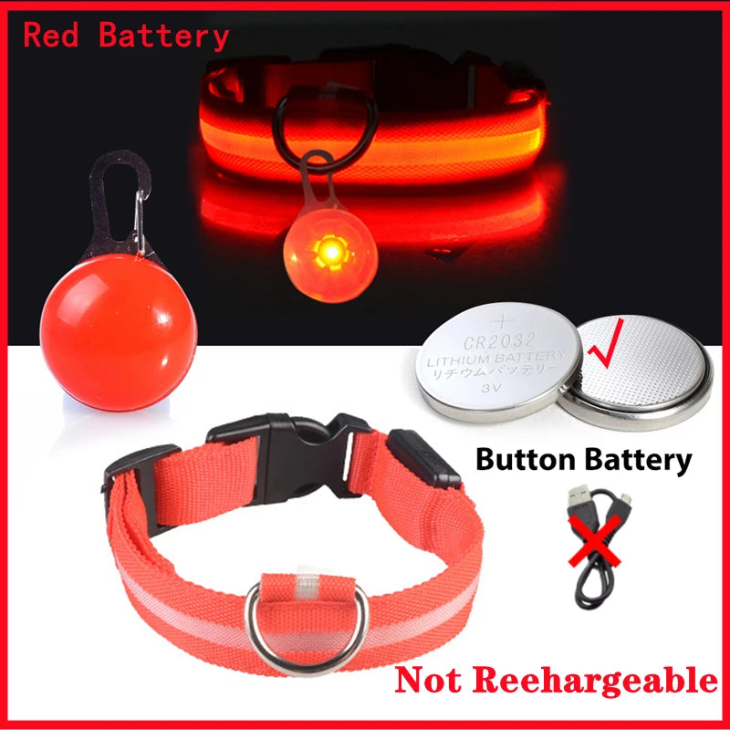 Collier lumineux pour chien LORIS™