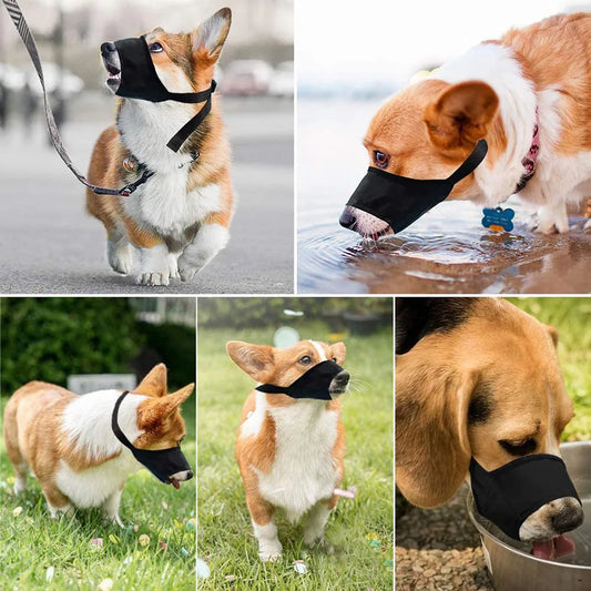 Muselière pour chien MEIANU™ | nylon