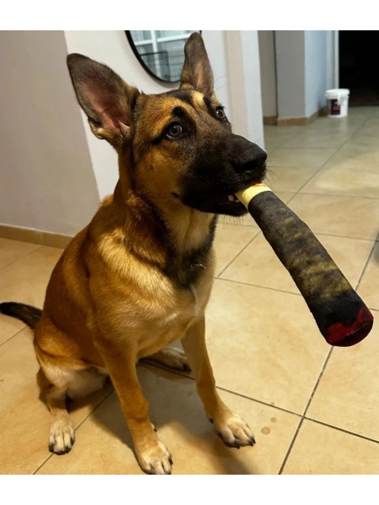 Jouet pour chien DOGGYF™ | interactif sonore