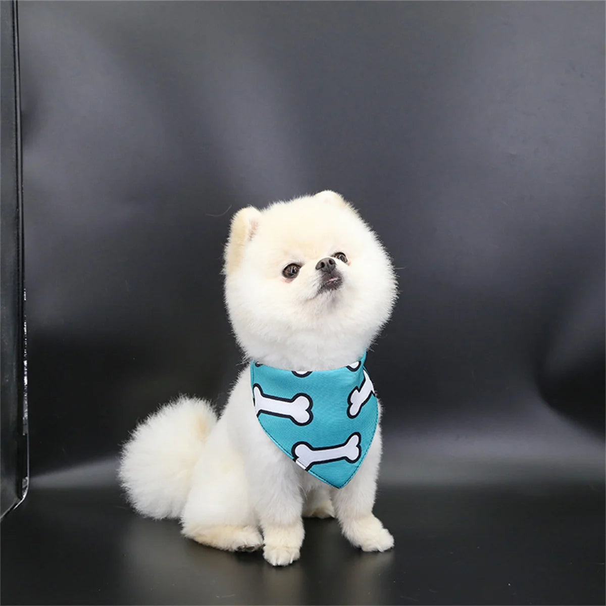 Bandana pour chien MORTY™ | foulard réglable