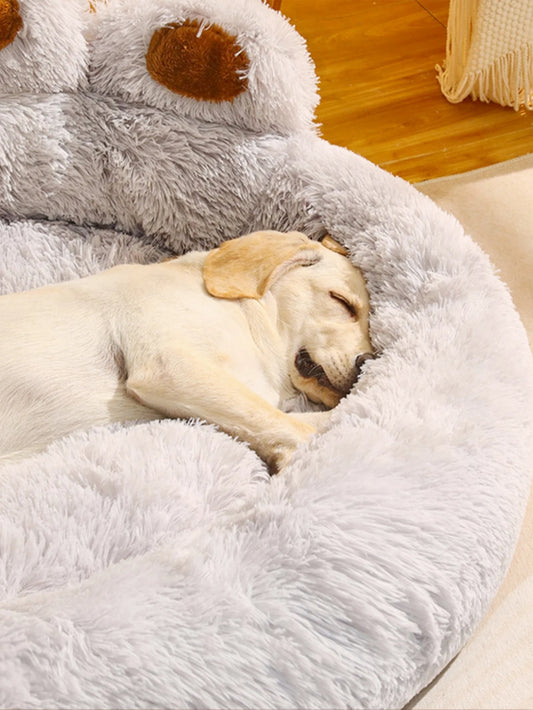 Canapé pour chien TEDDY™ | lit pour chien