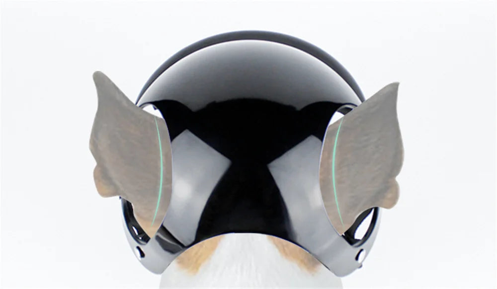 Casque de moto pour chien RAMEN™ | casque de protection