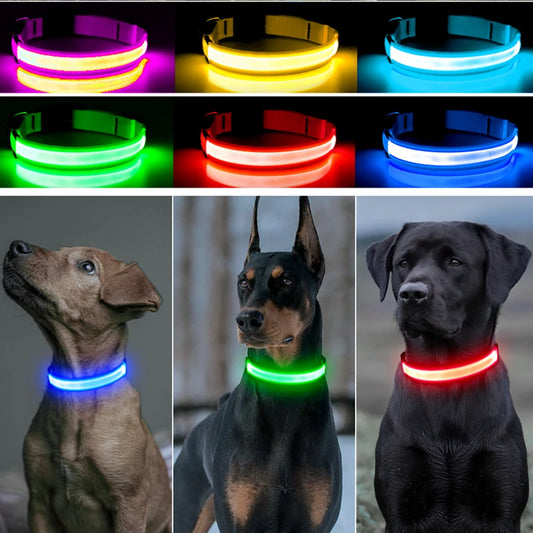 Collier lumineux pour chien LORIS™