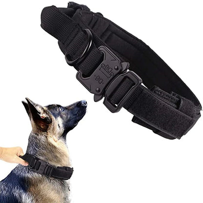 Ensemble collier et laisse chien tactique MAUREL™ | militaire
