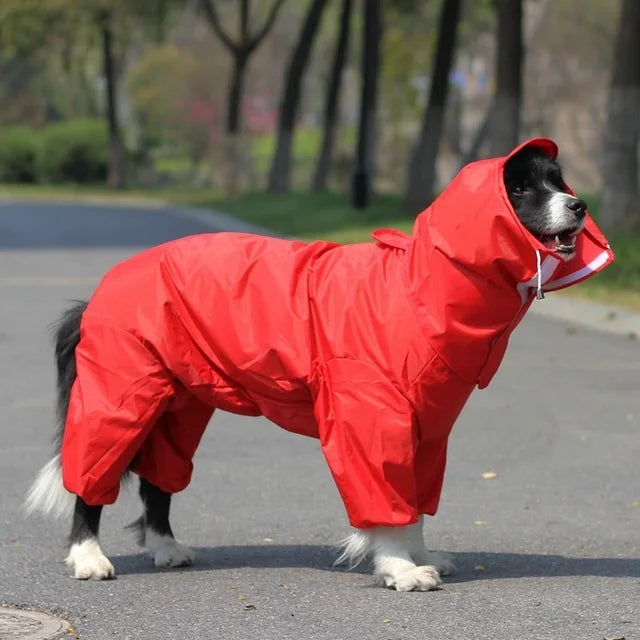 Manteau de pluie pour chien SANCHEZ™ | imperméable