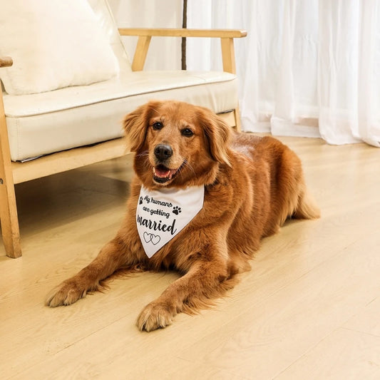Bandana pour chien  LATELLA™ | foulard coton réglable