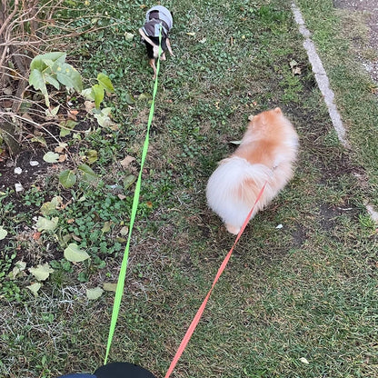 Laisse double pour chien  BENETOS™ | rétractable
