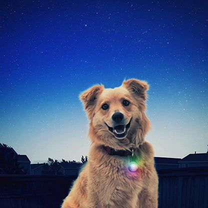 Collier lumineux pour chien LORIS™
