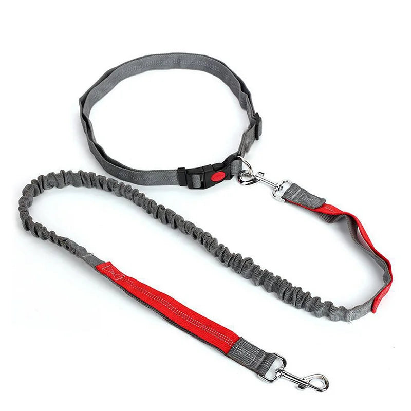 Laisse pour chien DUUOMM™ | mains libres