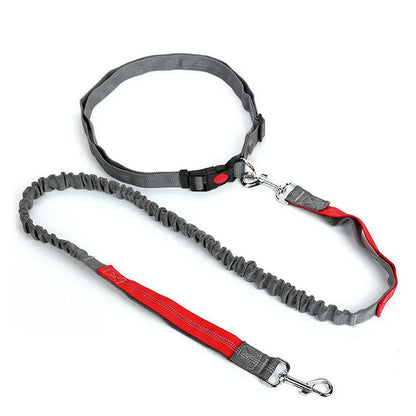 Laisse pour chien DUUOMM™ | mains libres
