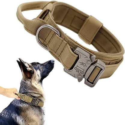Ensemble collier et laisse chien tactique MAUREL™ | militaire