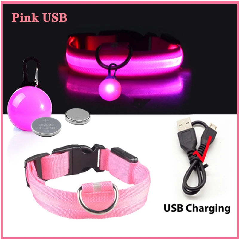 Collier lumineux pour chien LORIS™