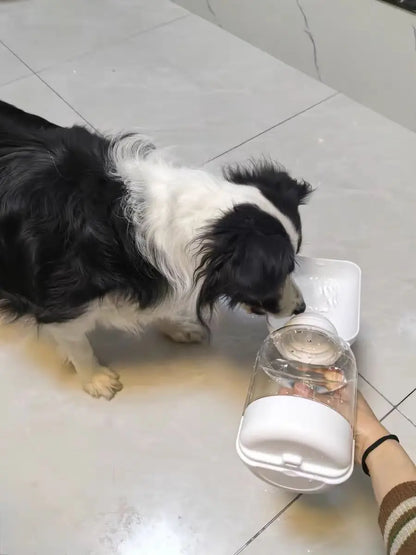 Gourde chien MUSHIPIPET