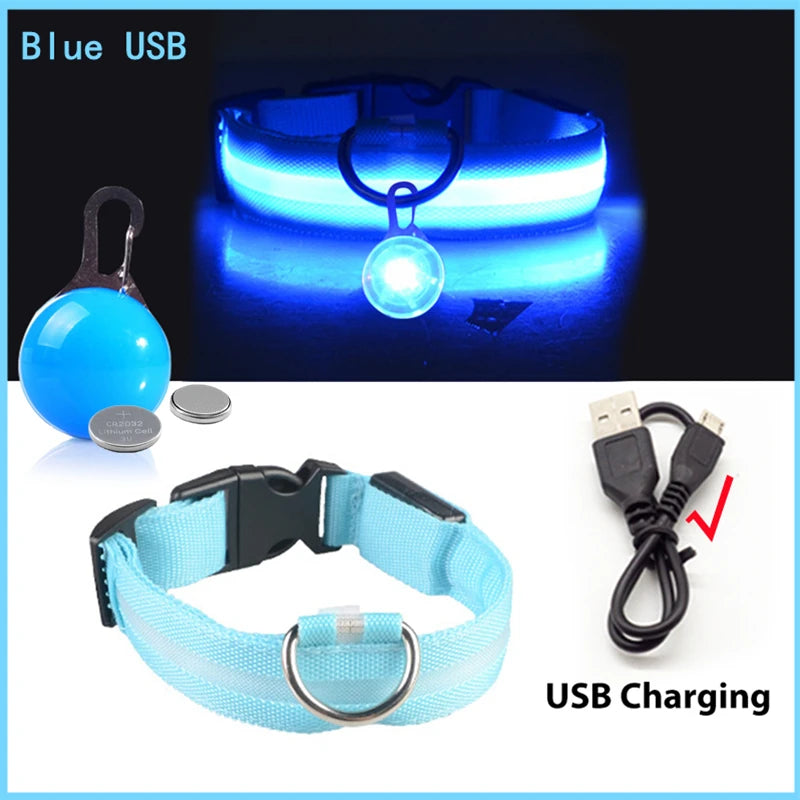 Collier lumineux pour chien LORIS™