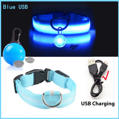 Collier lumineux pour chien LORIS™