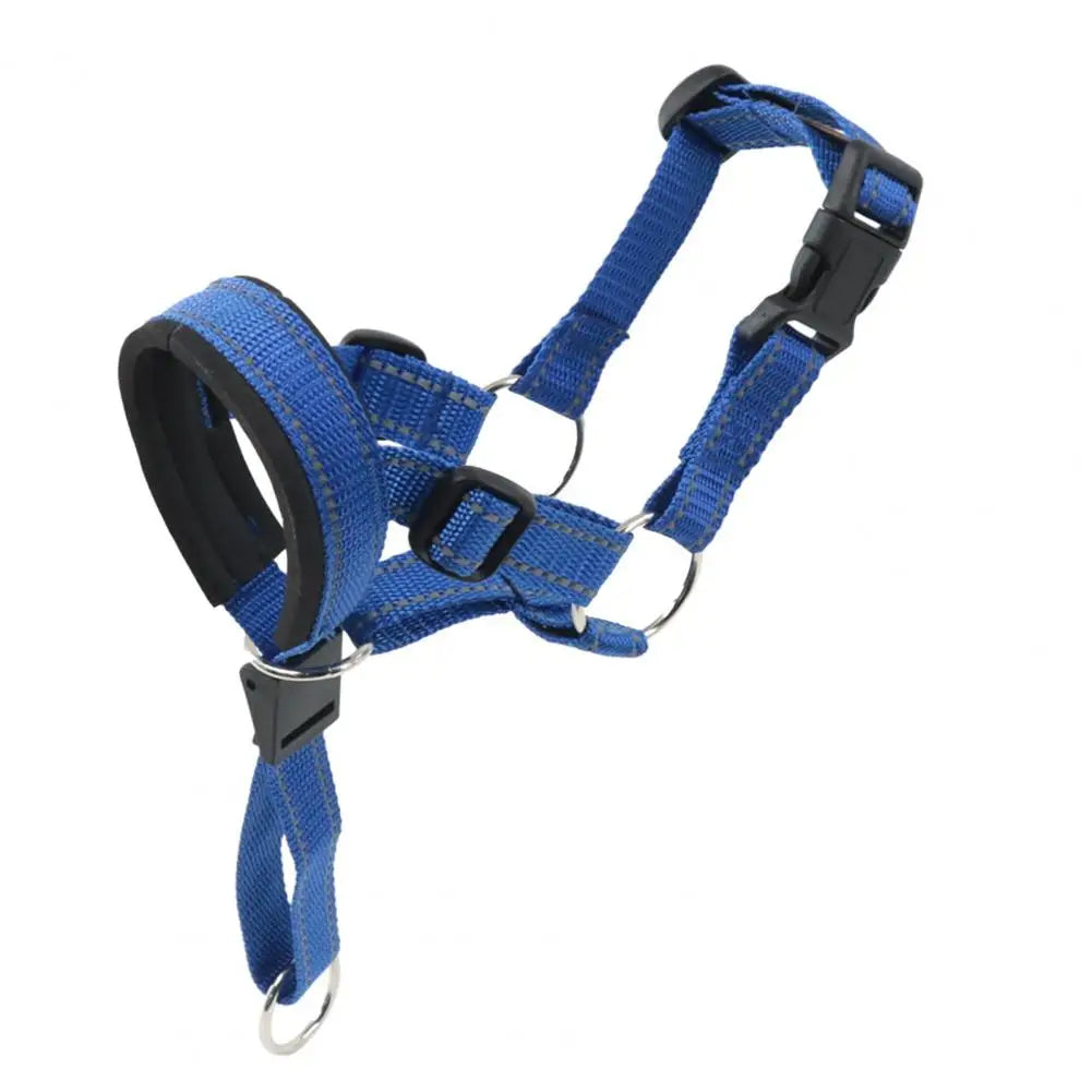 Collier dressage chien SERGAR™ | licou