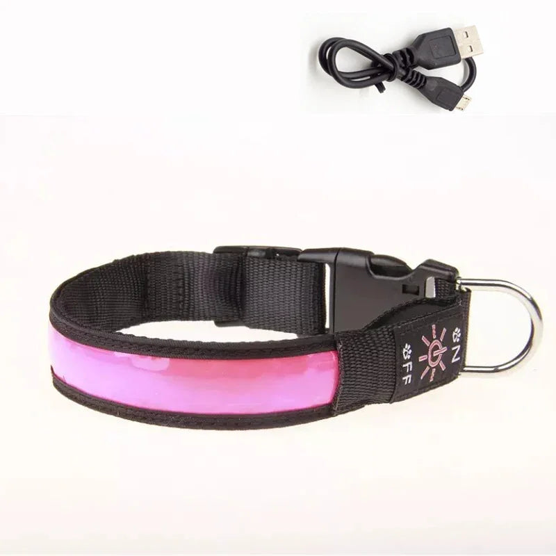 Collier lumineux pour chien LEEPOMAS™ | USB