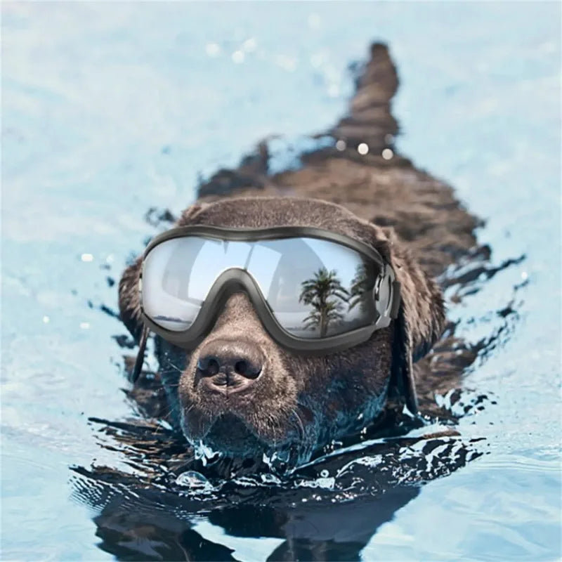 Lunettes de Soleil pour chien CORGI™