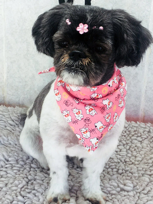 Foulard pour chien coton RUIZ™ | bandana écharpe