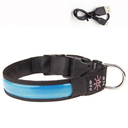 Collier lumineux pour chien LEEPOMAS™ | USB