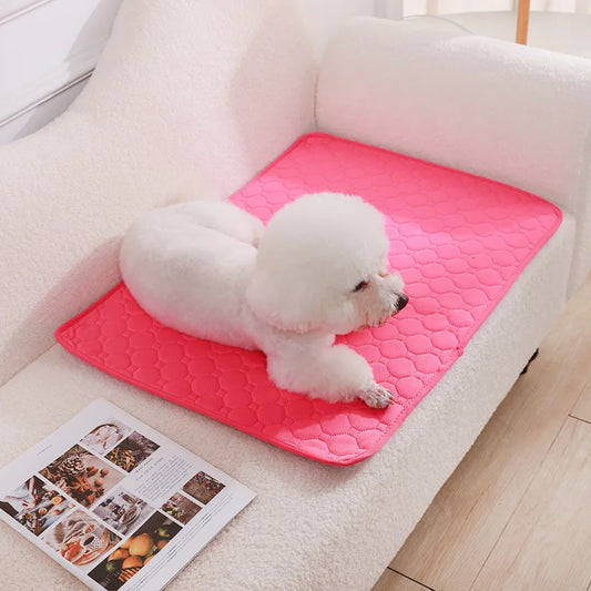 Tapis pour chien NAVARO™ | absorbant
