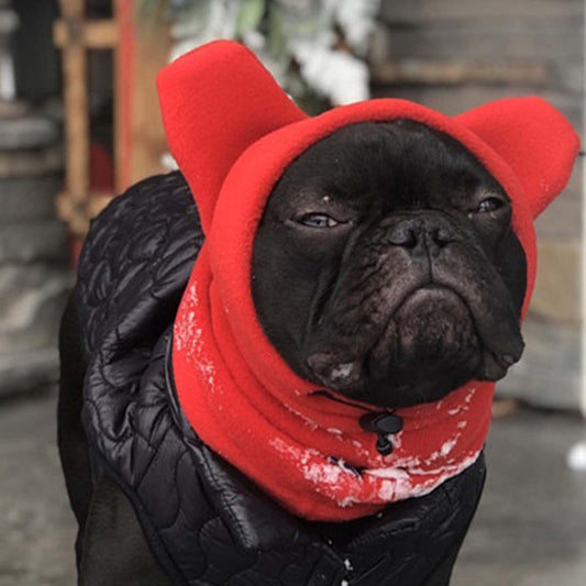Chapeau chien TEOPET™ | bonnet hiver