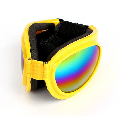Lunettes de soleil pour chien OLEG™